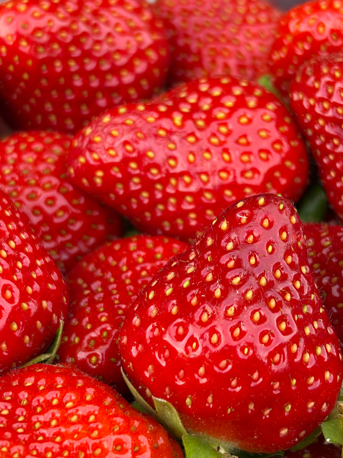 Fraises de l'Isère et de la Haute Loire, Vanille de Madagascar